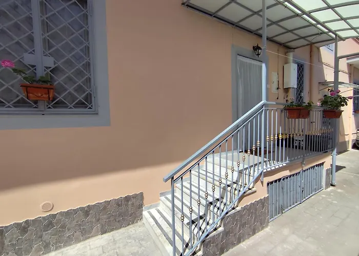 Geko Del Sud